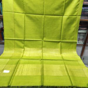 Handwoven Pure Munga Silk Saree in Parrot Green with Shimmering Gold Pallu